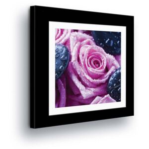 Vászonkép GLIX - Flower Purple Roses in Passepartout 40x40 cm