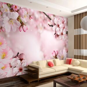 Fotótapéta Bimago - Spring Cherry Blossom 200x140 cm