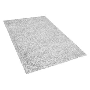 Szürke-fehér Shaggy szőnyeg 160 x 230 cm DEMRE