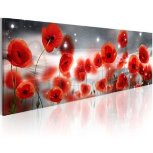 Vászonkép Bimago - Stellar Poppies 150x50 cm