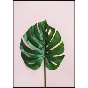 Monstera Leaf plakát, 40 x 30 cm - Imagioo