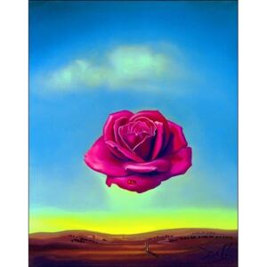 Salvador Dali - Medative Rose Festmény reprodukció, (50 x 70 cm)