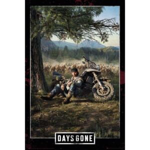 Plakát Days Gone - Key Art, (61 x 91,5 cm)