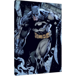 Vászonkép Batman - Prowl, (60 x 80 cm)