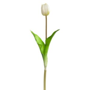 SAVONA tulipán 36cm, fehér - Leonardo