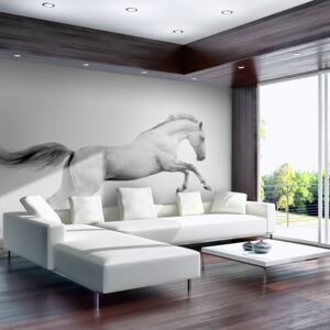 Fotótapéta Bimago - White gallop + Ragasztó ingyen 200x154 cm