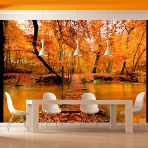 Fotótapéta Bimago - Autumn bridge + Ragasztó ingyen 300x231 cm