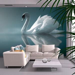 Fotótapéta Bimago - White swan + Ragasztó ingyen 200x154 cm