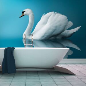 Fotótapéta Bimago - Swan - Reflection + Ragasztó ingyen 300x231 cm