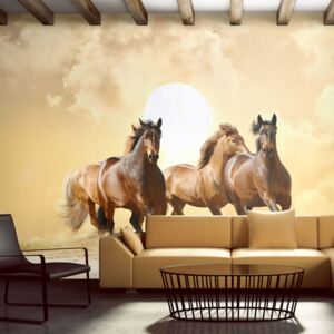 Fotótapéta Bimago - Running horses + Ragasztó ingyen 200x154 cm