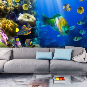 Fotótapéta Bimago - Underwater paradise + Ragasztó ingyen 250x193 cm