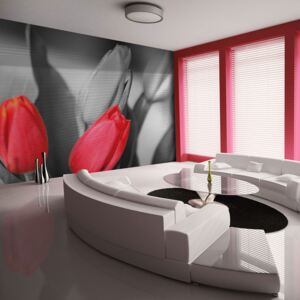 Fotótapéta Bimago - Red tulips on black and white background + Ragasztó ingyen 200x154 cm