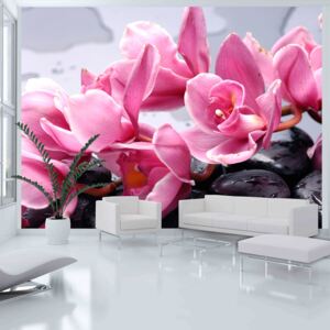 Fotótapéta Bimago - Orchid flowers with zen stones + Ragasztó ingyen 200x154 cm