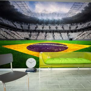 Fotótapéta Bimago - Brazilian stadium + Ragasztó ingyen 350x245 cm