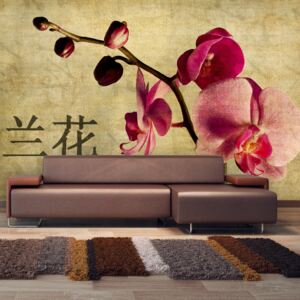 Fotótapéta XXL Bimago - Japanese orchid + Ragasztó ingyen 450x270 cm