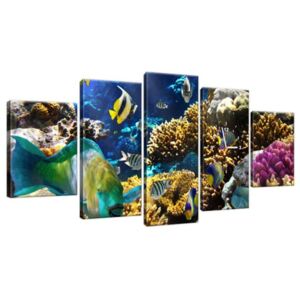 Órás falikép Korallzátony 150x70cm ZP1347A_5B