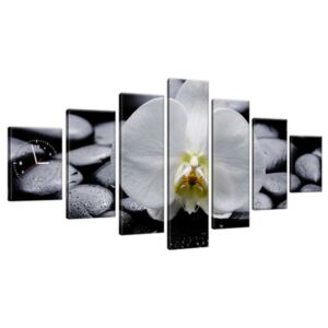 Órás falikép Fehér orchidea 210x100cm ZP1708A_7A