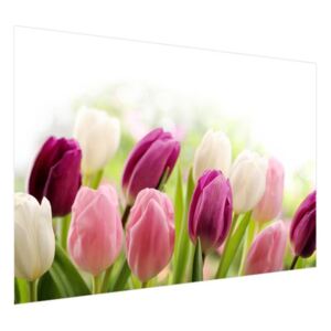 Öntapadó fólia Színes finom tulipánok 200x135cm OK2125A_1AL