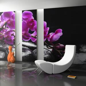 Fotótapéta Bimago - Relaxing Moment: Orchid Flower And Stones + Ragasztó ingyen 450x270 cm