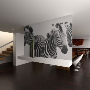 Fotótapéta Bimago - Three zebras + Ragasztó ingyen 200x154 cm