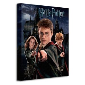 Vászonkép Harry Potter (Harry Ron Hermione) 30x40cm WDC92242
