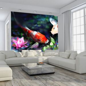 Fotótapéta Bimago - Underwater aquarium + Ragasztó ingyen 250x193 cm
