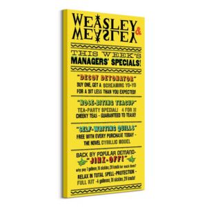 Vászonkép Harry Potter (Weasley and Weasley Specials) 50x100cm WDC93236