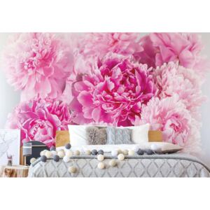 Fotótapéta GLIX - Lágy Pasztell Rózsaszín Virágok Papír tapéta- 184x254 cm