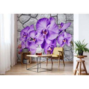 Fotótapéta GLIX - Virágok Orchideák Kőfal Textúra Papír tapéta- 184x254 cm