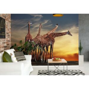 Fotótapéta GLIX - The Giraffes Nem szőtt tapéta - 104x70 cm