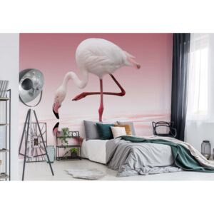 Fotótapéta GLIX - Flamingo Nem szőtt tapéta - 104x70 cm