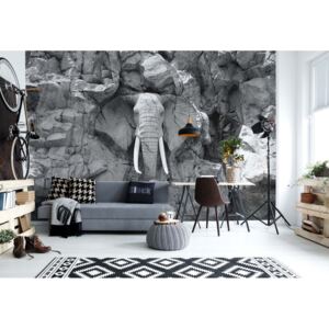 Fotótapéta GLIX - Kő Elefánt Fekete És Fehér Tapet nețesute - 208x146 cm