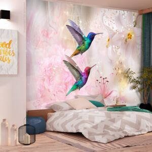 Fotótapéta Bimago - Colourful Hummingbirds (Pink) + Ragasztó ingyen 200x140 cm