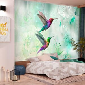 Fotótapéta Bimago - Colourful Hummingbirds (Green) + Ragasztó ingyen 250x175 cm