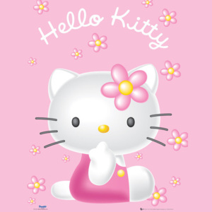 Hello Kitty - Pink Plakát, ( x cm)
