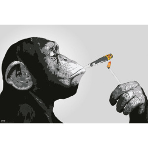 Steez - Majmok Smoking Plakát, (91,5 x 61 cm)