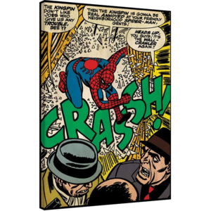 Vászonkép Spiderman - Crash, (60 x 80 cm)