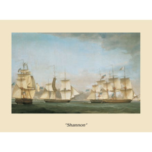 The Ship Shannon Festmény reprodukció, Navi, (80 x 60 cm)