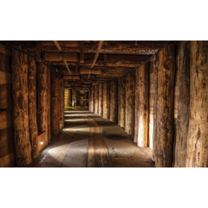 Wood Tunnel Mine Tapéta, Fotótapéta, (416 x 254 cm)