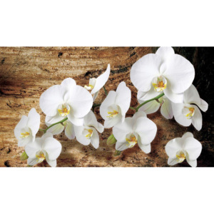 Vászonkép: Orchideák a fa - 75x100 cm