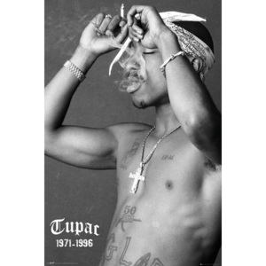 Tupac - Smoke Plakát, (61 x 91,5 cm)
