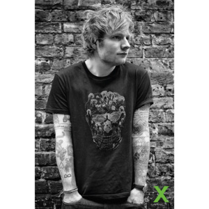 Ed Sheeran - Skull Plakát, (61 x 91,5 cm)