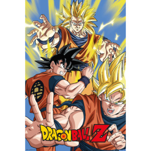 Dragon Ball Z - Goku Plakát, (61 x 91,5 cm)