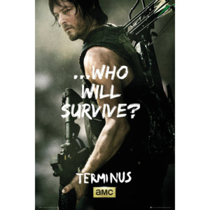 The Walking Dead - Daryl Survive Plakát, (61 x 91,5 cm)