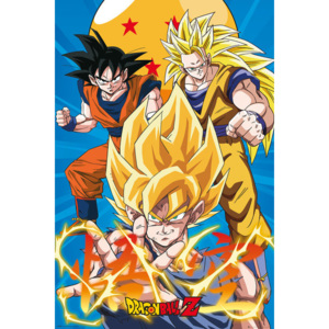 Dragon Ball - Z3 Gokus Evo Plakát, (61 x 91,5 cm)