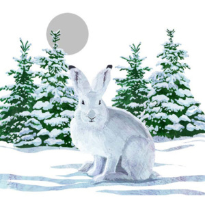 Snow Rabbit 10 db-os papírszalvéta szett karácsonyi motívummal - PPD