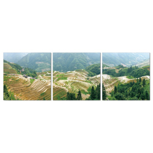 Terraced plantations Modern kép, (150 x 50 cm)