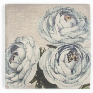 Floral Trio kép, 70 x 70 cm - Graham & Brown