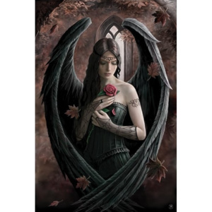 Anne Stokes - angel rose Plakát, (61 x 91,5 cm)