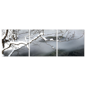 Winter Snapshot Modern kép, (150 x 50 cm)